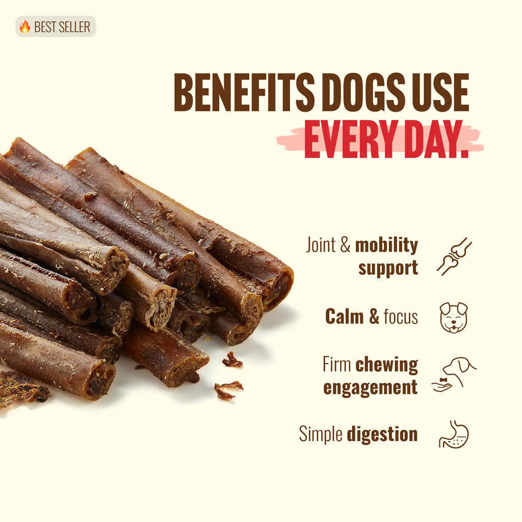 Natural Farm 4 Inch Bully Coated Gourmet Collagen Sticks-premium beef
