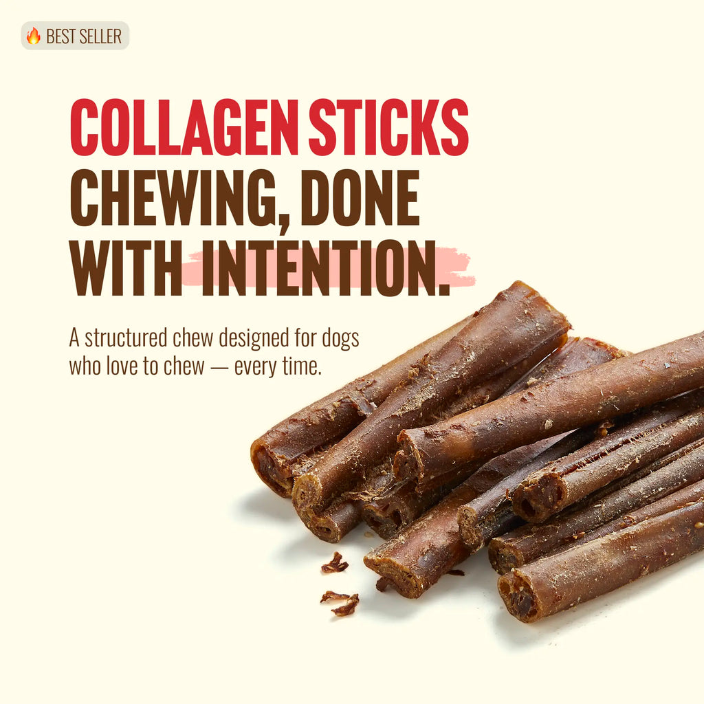 Natural Farm 4 Inch Bully Coated Gourmet Collagen Sticks-premium beef