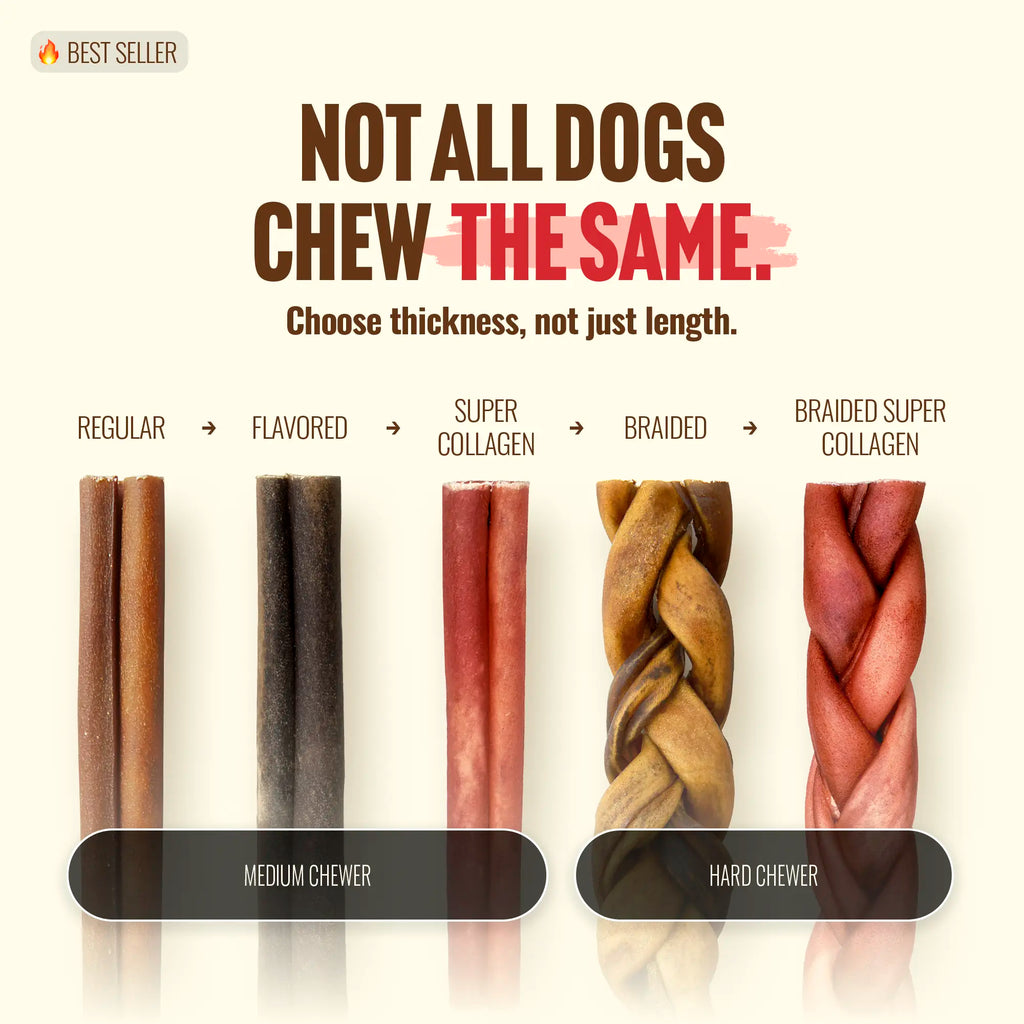 Natural Farm 4 Inch Bully Coated Gourmet Collagen Sticks-premium beef