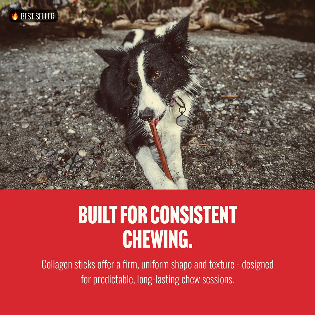 Natural Farm 4 Inch Bully Coated Gourmet Collagen Sticks-premium beef