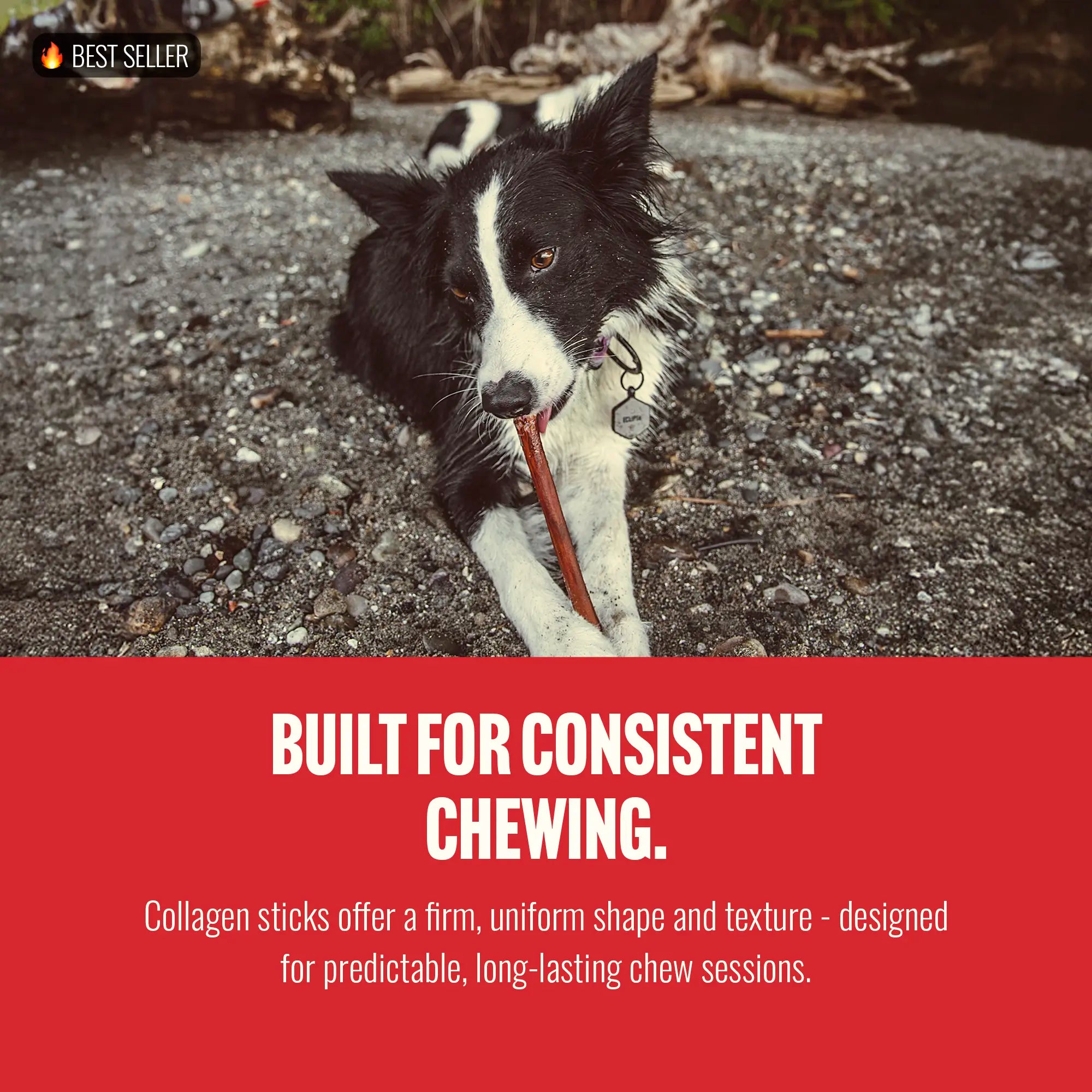 Natural Farm 4 Inch Bully Coated Gourmet Collagen Sticks-premium beef