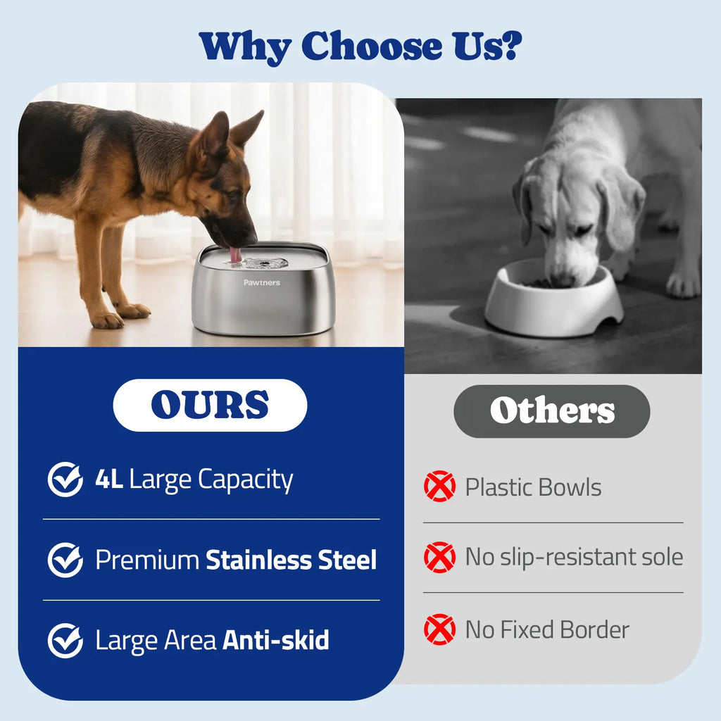 Pawtners Dog Water Bowl for Small Medium Large Dogs