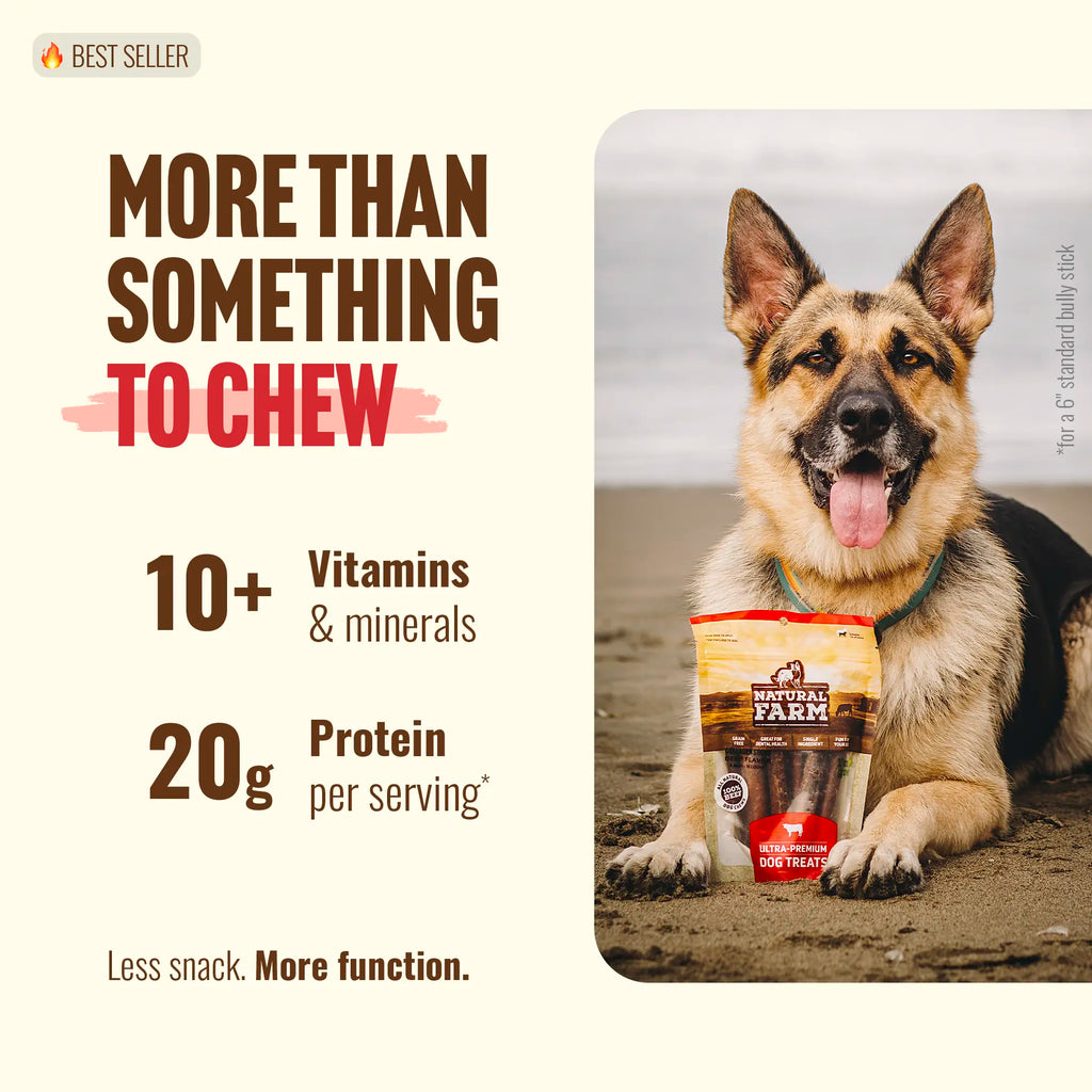 Natural Farm 4 Inch Bully Coated Gourmet Collagen Sticks-premium beef